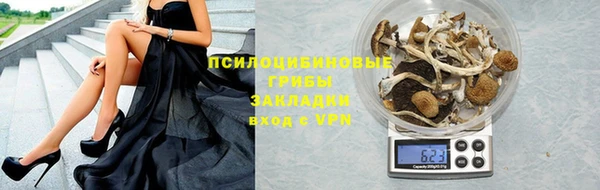 Альфа ПВП Валдай