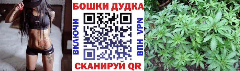 mega   Туймазы  Бошки Шишки ГИДРОПОН 